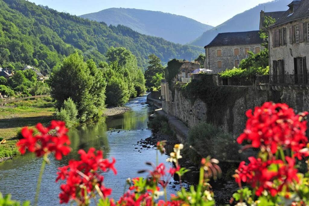 Au 11 T3 Duplex, Village Vacances, Piscines, Parking Saint-Geniez-d'Olt Luaran gambar